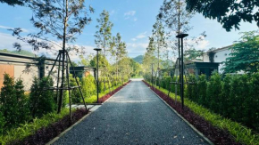 Willow Tree House Khao Yai